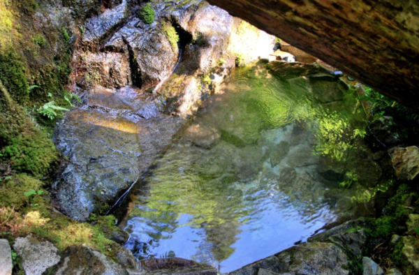 Doe Bay Hot Springs, Orca Island