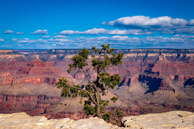 RVing Grand Canyon