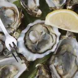 Delicious South Island - take a road trip your taste buds will love