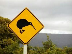 The North Island's 'unique' place names