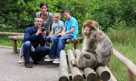 Monkey mayhem at Stoke on Trent: 5 things to do