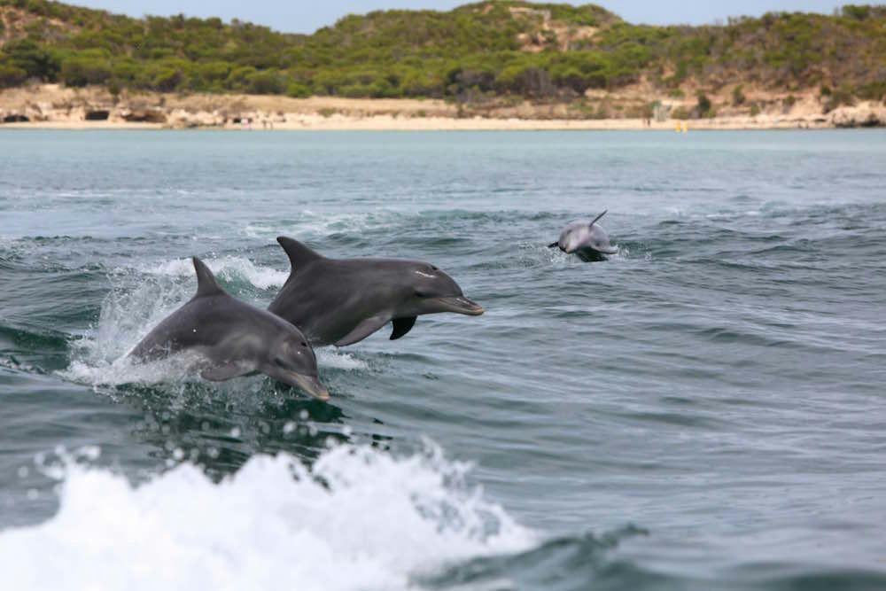 Six great reasons to visit Perth