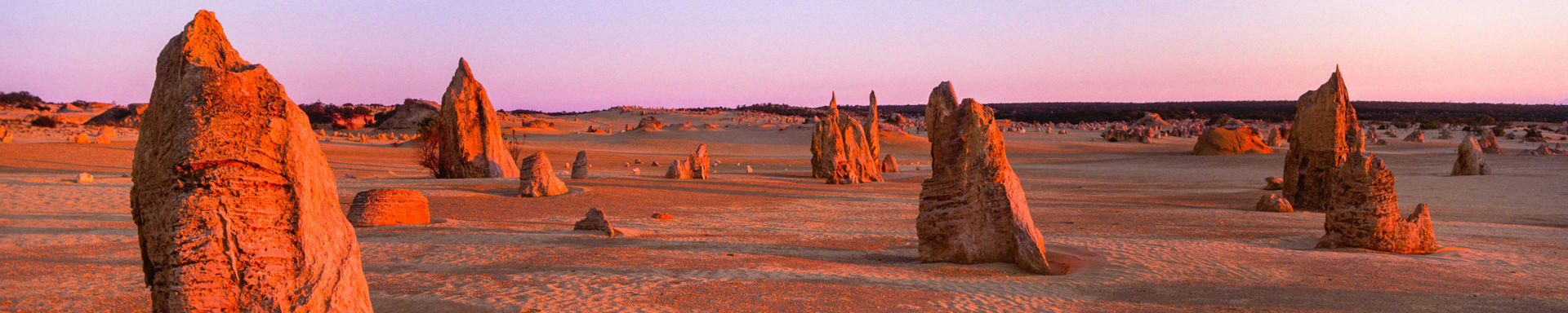 Find Campervan Rental in Western Australia with DriveNow