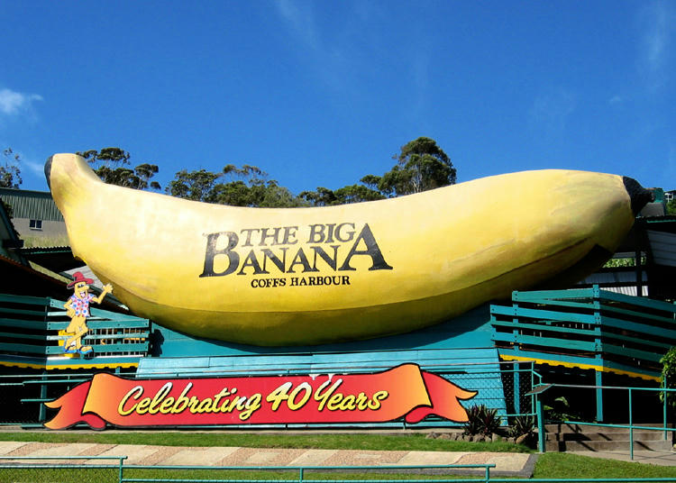 Your travel guide to Coffs Harbour and surrounds