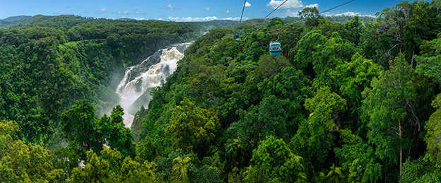 See the Australian Tropical Rainforest from a unique perspective with the Skyrail Cableway