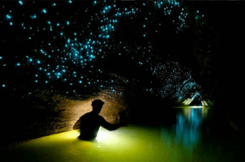 Limestone caves in Waitomo New Zealand
