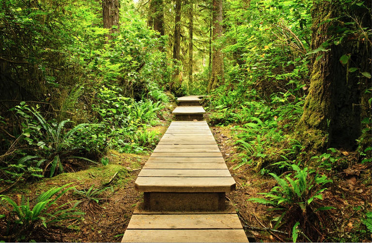 Camping and campervanning in Vancouver and beyond