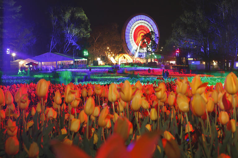 Floriade's NightFest all set to light up Canberra in October
