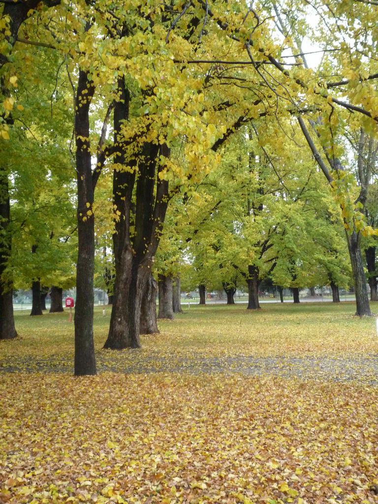 Great drives - Melbourne to Sydney (Tumut, a place to sweep you off your feet!)
