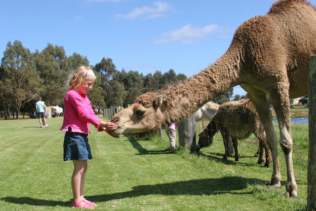 Park in profile - Taunton Farm Holiday Park, Margaret River