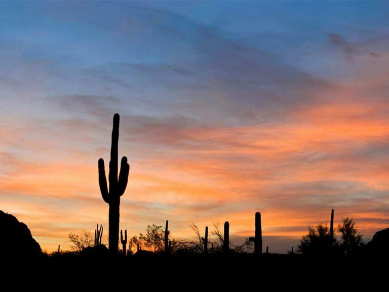 Top RV Camping Destinations Arizona