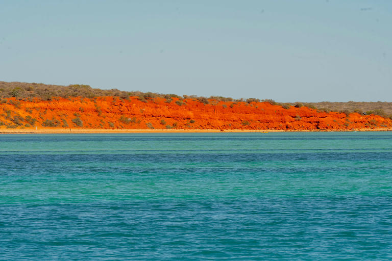 Solo Coral Bay Road-Trip, Western Australia - First hand account