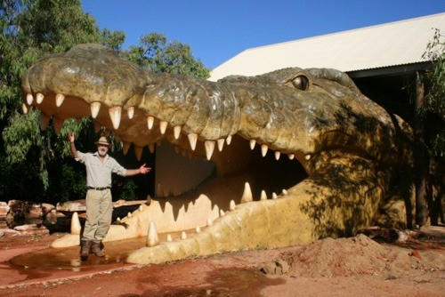 Enter the Malcolm Douglas Crocodile Park at your own peril