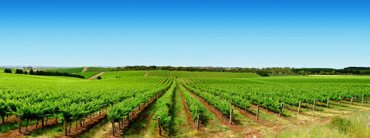 Barossa Valley