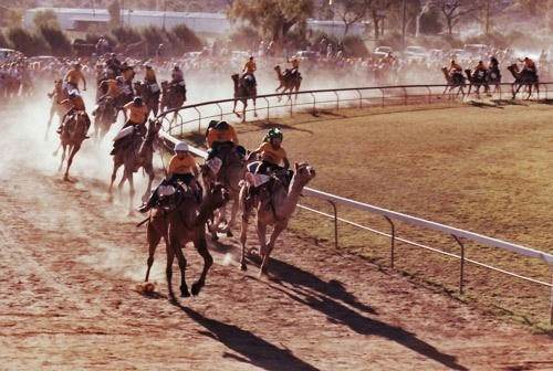 Camel racing is a popular sport in Alice Springs