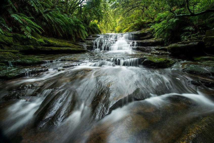 Road trip Sydney and beyond - 5 great drives this summer