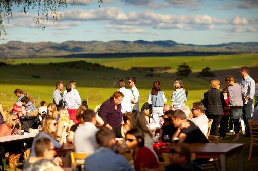 5 things to do between Adelaide and the Barossa Valley