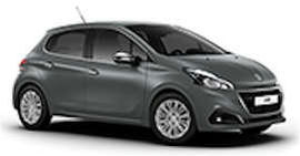 208 - Automatic Petrol GPS