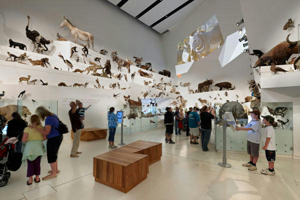 Four museums in Melbourne you must visit