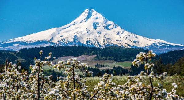 Mt Hood, Oregon