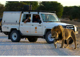 Toyota Land Cruiser 4x4 - CruS