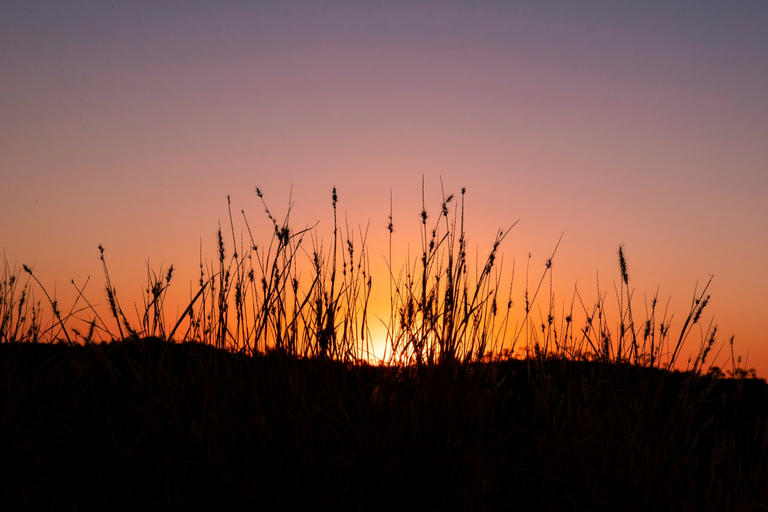 🌾 Matilda Way Road Trip: The Ultimate Motorhome Guide (Queensland to SA)