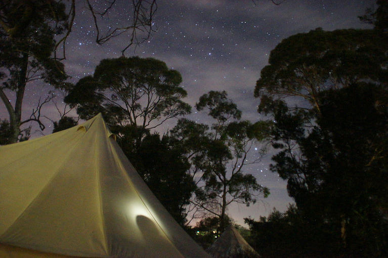 Autumn Tassie adventures in a caravan – five sights to see