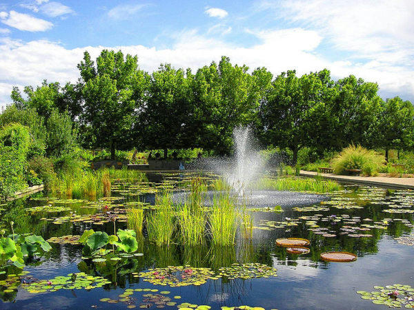 Denver Botanic Gardens Fountain