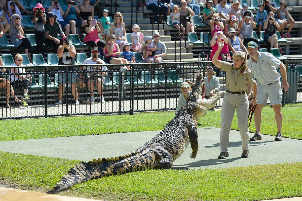 Top Things to do in the Sunshine Coast this Easter Break