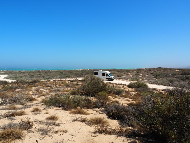 Australia's Dinosaur Trail: A Short Loop or the Full Epic