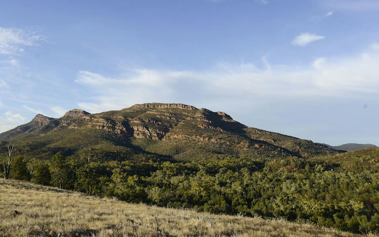 Fly to Adelaide and drive to five great regions in South Australia   