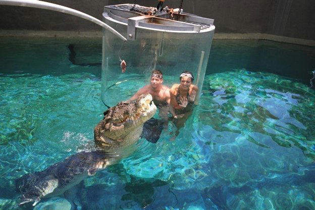 Get up close and personal with a croc at Crocosaurus Cove