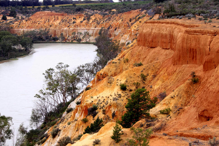 Mildura to Renmark - a Murray River highlight