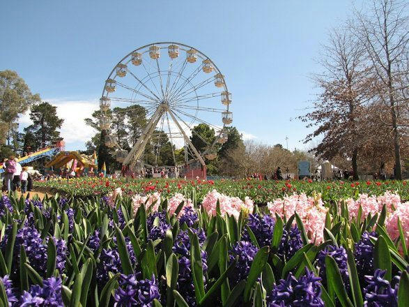 Canberra Floriade