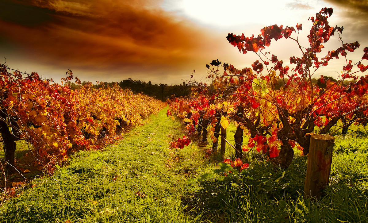 Aussie winter adventures to escape the winter blues