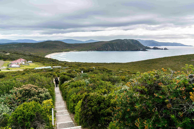Tasmania Autumn Campervan Hire: Cheaper Rates, Less Crowds, More Magic