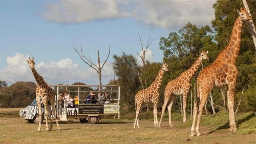 4 great day trips close to Melbourne