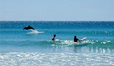 Coolangatta Surfing