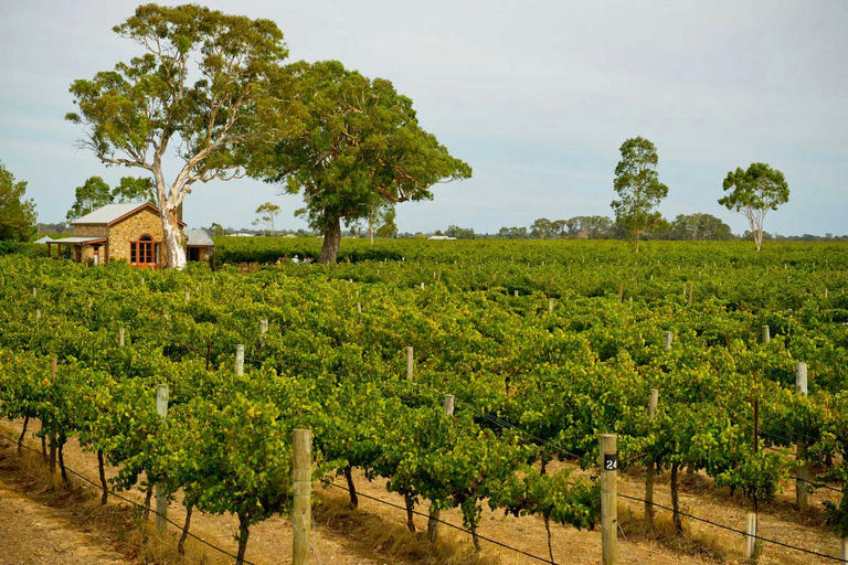 Coonawarra region for a summer holiday