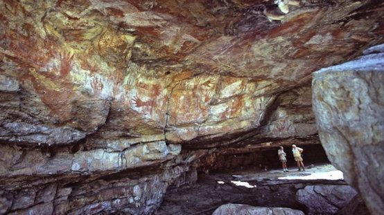 Visit Kakadu National Park on a Darwin day trip