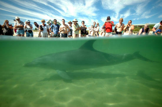 5 reasons you'll love a holiday in Bunbury
