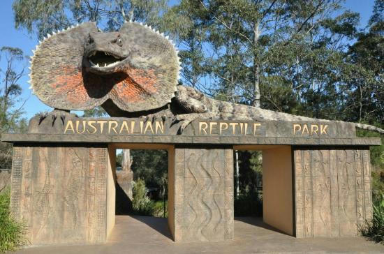 One hour from Sydney: 5 amazing things to do with the family