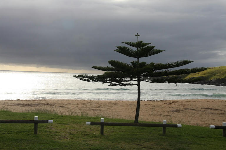 A moo-ving experience on the NSW coastline for road-tripping campervanners