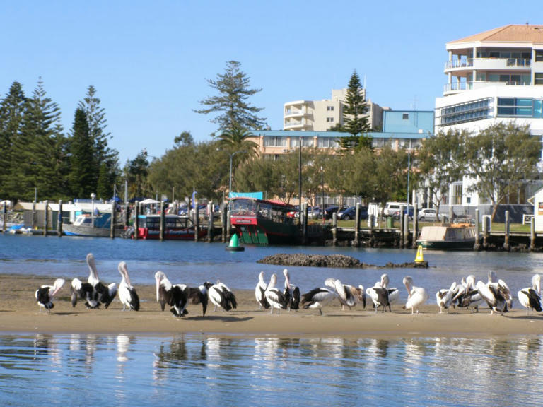 Driving holidays - a perfect Port (NSW)