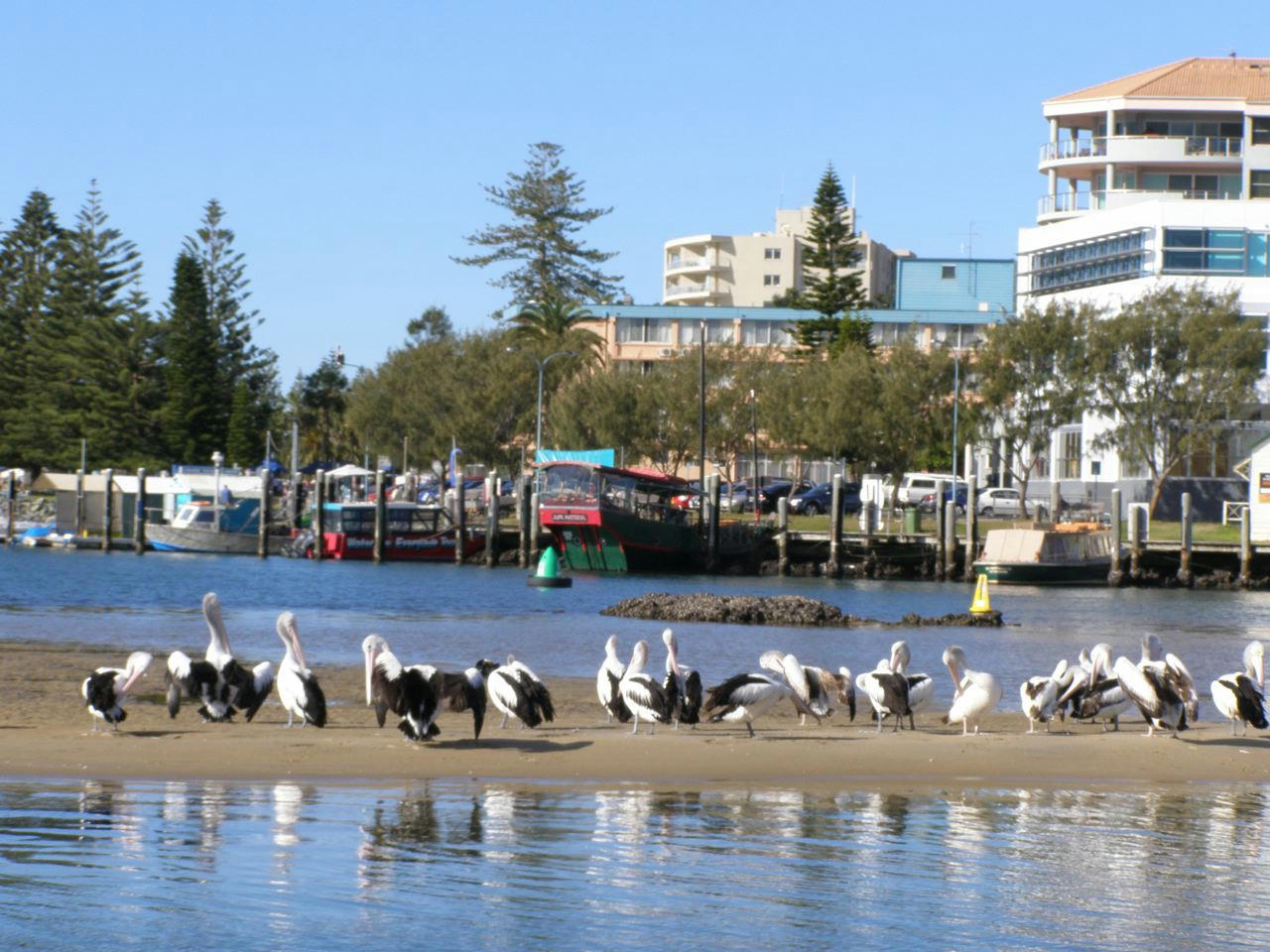 Driving holidays - a perfect Port (NSW)